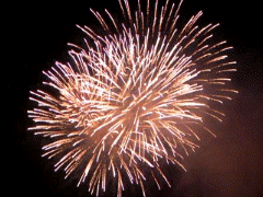 Gif animé feux d'artifices 72